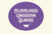 Russian Blue kittens for sale